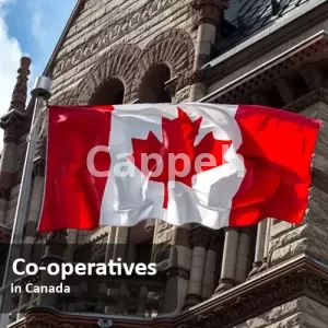 Incorporate & Register a Cooperative in canada