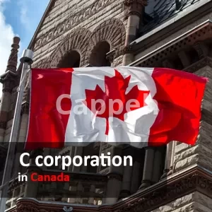 Incorporate & Register a C corporation in canada