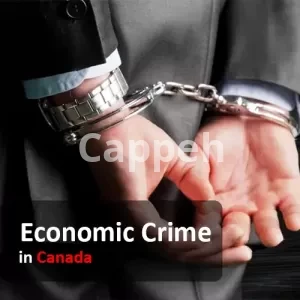 Economic Crime Lawyer in canada