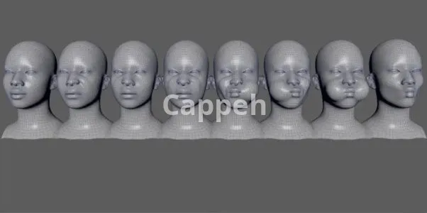 I will make blendshapes for wonder studio characters and iphone arkit