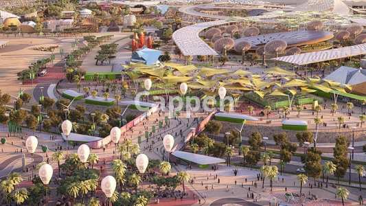 Providing specialized landscape design services using AutoCAD LT landscape design software