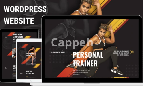 I will build, redesign responsive wordpress website design for your business