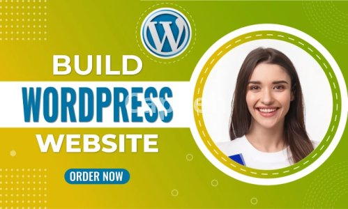 I will build, design, redesign, develop, update, clone, or customize wordpress website