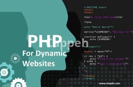 I will be full stack web developer software developer PHP laravel html react nodejs