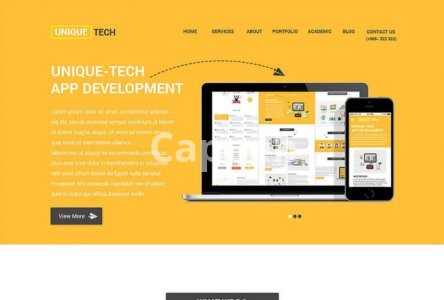 I will be divi expert for wordpress divi website, divi theme and divi builder