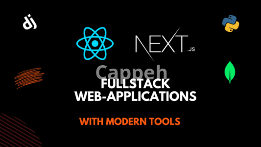 I will develop web apps with nextjs tailwind and shadcn UI