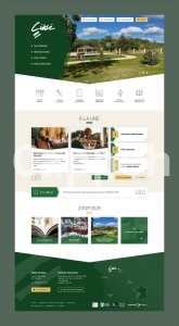 I will develop wordpress website and ecommerce store