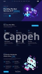 I will setup basic wordpress website for you in 24 hours