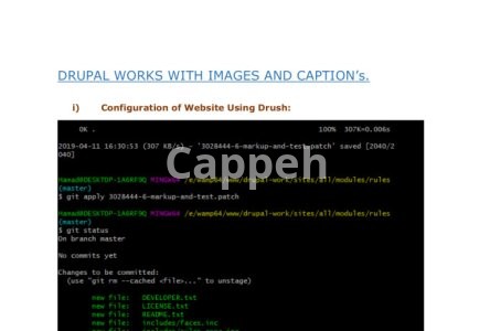 I will develop drupal website or fix, update drupal issues