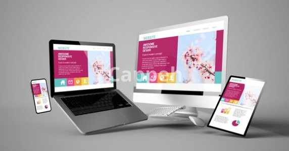 I will create wix website design or wix website redesign in just 24 hours