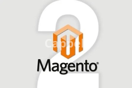 I will do magento 2 development and customization