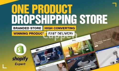 I will create one product shopify dropshipping store