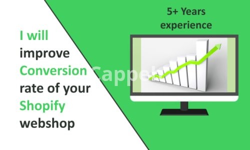 I will improve the conversion rate of your shopify webshop