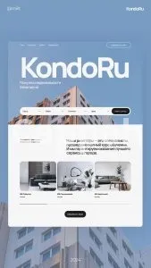 I will design wordpress real estate agent idx mls or investor website or landing page