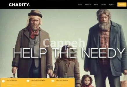 I will create nonprofit website for charity ngo fundraising donation non profit 501c3