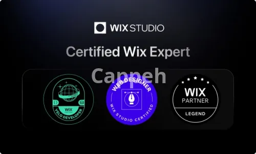 I will fix responsive issues of wix studio or wix editor x website