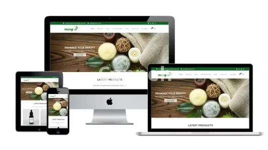 I will do website development, wordpress customization , shopify , ecommerce , wix