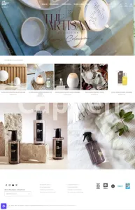 I will create a professional shopify website or shopify theme