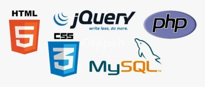 I will develop accurate html,css,js,ajax,php and mysql script