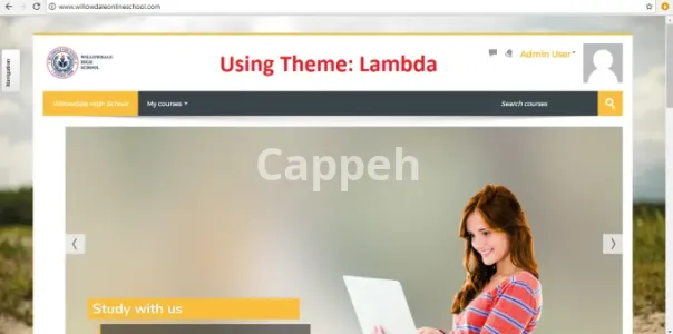 I will install, upgrade, manage, fix and customize moodle