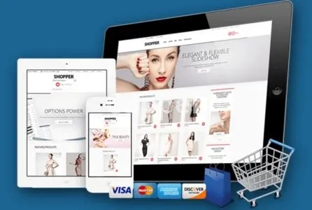I will develop custom ecommerce website