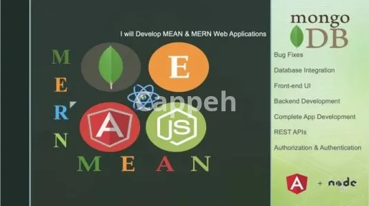 I will develop and fix mern and mean stack websites and nodejs apis