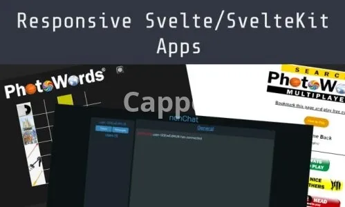 I will create an web applications with svelte or sveltekit