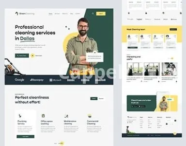 I will build a premium learndash or buddyboss or membership website