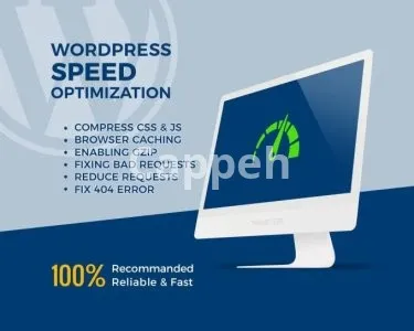 I will fully speed optimize wordpress website and improve load time