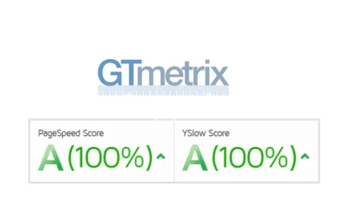 I will speed up divi wordpress website
