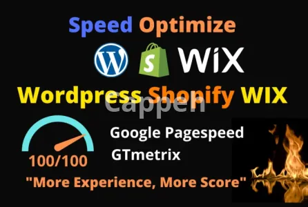 I will speed up wix shopify wordpress website with improve gtmetrix google pagespeed