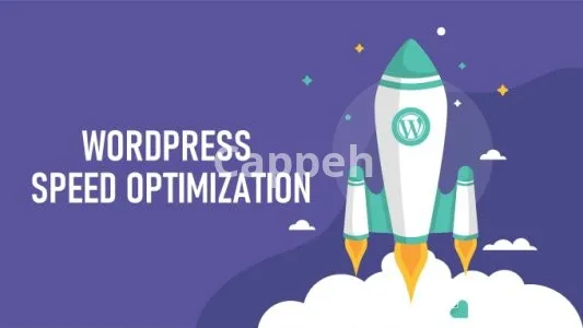 I will do wordpress speed optimization with wp rocket