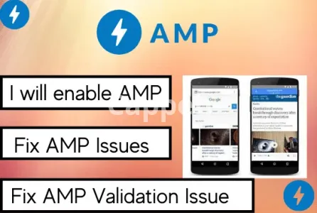 I will enable amp or fix error on wordpress website