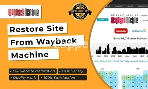 Introducing website recovery services from the wayback device