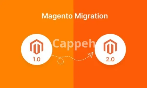 I will migrate your magento 1 data to magento 2
