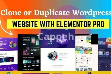 I will redesign copy clone responsive wordpress website template using elementor pro