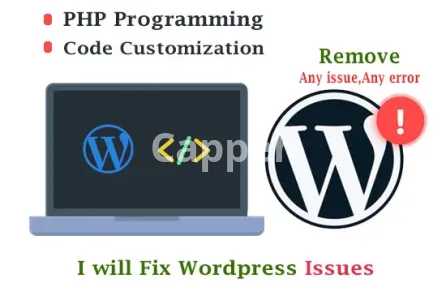 I will do PHP bugs fixing and custom code in wordpress