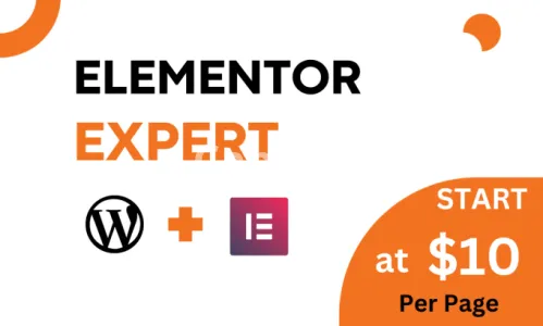 I will be your elementor pro expert for designing elementor website