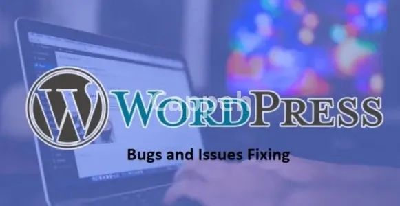 I will fix wordpress issues,theme and plugins update, customization