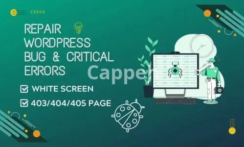 I will repair any kind of wordpress bug and elementor errors