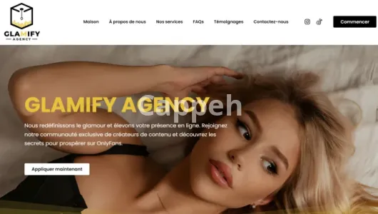I will design onlyfans agency website, wordpress website, modeling, management website
