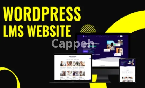 I will develop and customize wordpress lms website with learndash