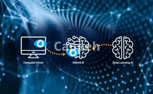 I will develop data science, machine learning and computer vision projects