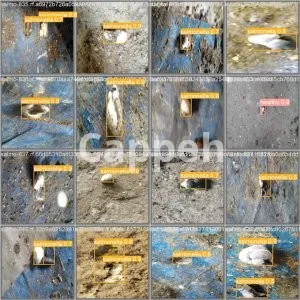 I will build custom object detection and tracking models