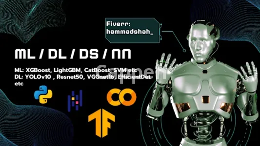 I will offer ml, dl, data science, neural networks services