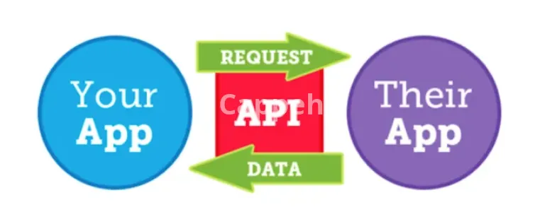 I will integrate rest, json, xml and open ai api in php and python