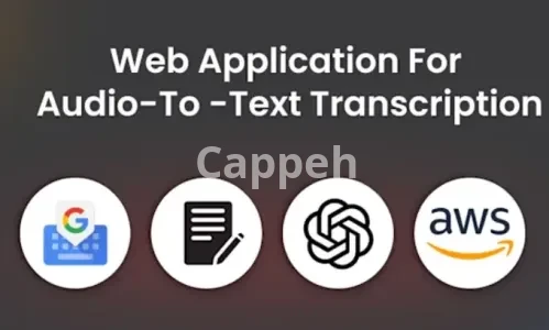 I will develop transcription web application and text summary using openai