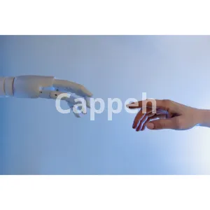 I will create an ai accountability coach for making money