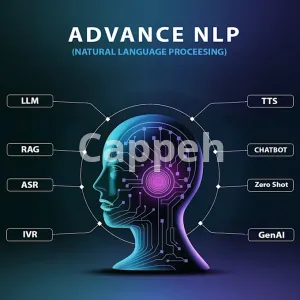 I will do advance natural language processing