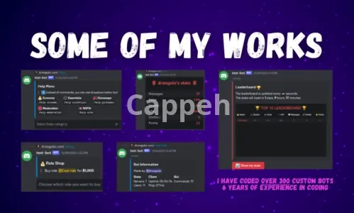 I will make a professional custom coded discord bot